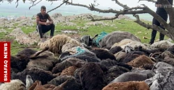 دهوك وديالى.. صاعقة رعدية تُصيب راعياً والأمن يعتقل مسلحين هاجما منزلاً