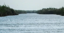 Iraq says drinking water safe as Tigris, Euphrates pollution claims spread