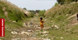 12 villages face drought in Iraq's Babil as canal dries