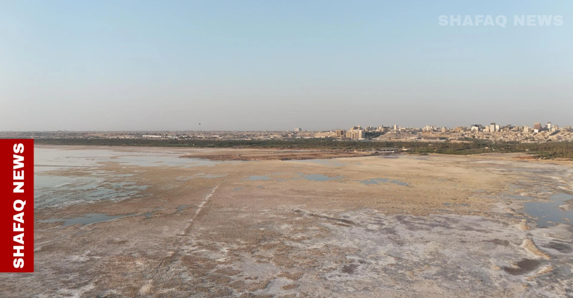 الزراعة العراقية لشفق نيوز: خطط لمكافحة خطر "ثلاثي الأبعاد"