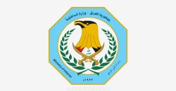 حادثة النجف.. الداخلية توجه بتحقيق فوري وتوقيف عناصر من أمن الملاعب