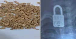 النجف والأنبار.. ضبط 600 حبة كبتاغون وإنقاذ طفل ابتلع "قفلاً" (صور)