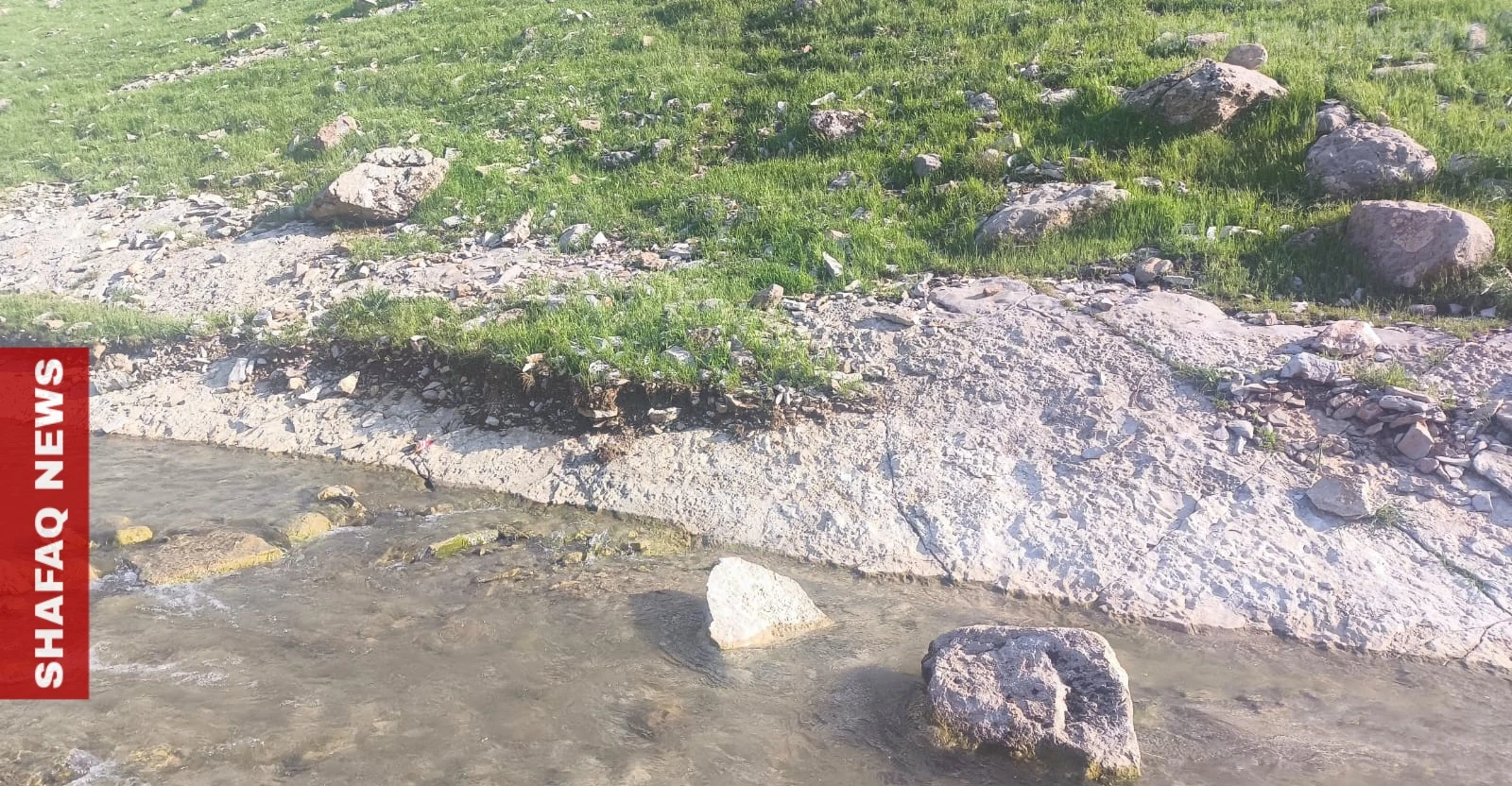 من كركوك إلى كوردستان.. الأمطار تعيد رسم جمال الأرض وتزيد المساحات الخضراء