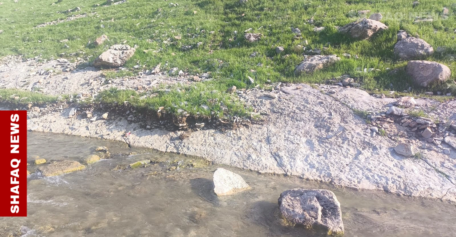 من كركوك إلى كوردستان.. الأمطار تعيد رسم جمال الأرض وتزيد المساحات الخضراء