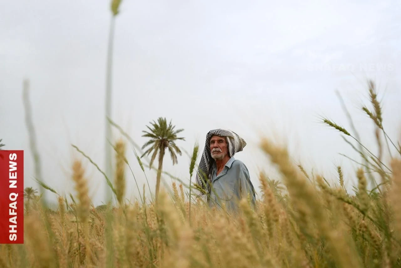 Rooted in soil: An Iraqi farmer holds on as the land changes