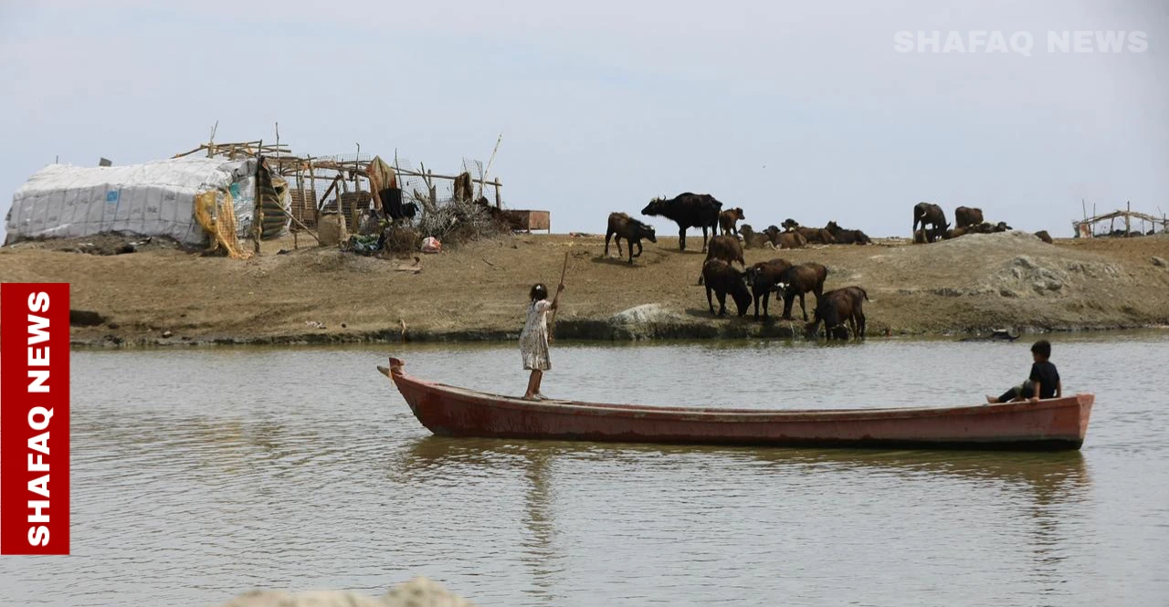 الأهوار تتنفس مجدداً والسياحة تنعش جنوب العراق (صور)