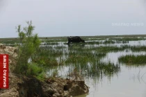 Heavy rains restore Iraq’s Marshes’ water levels and livelihoods