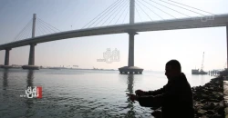 اصطياد "دولفين" على سواحل البصرة يثير موجة غضب (فيديو)