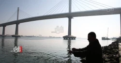 Fishermen catch dolphin off Basra coast, calls for stronger marine protections