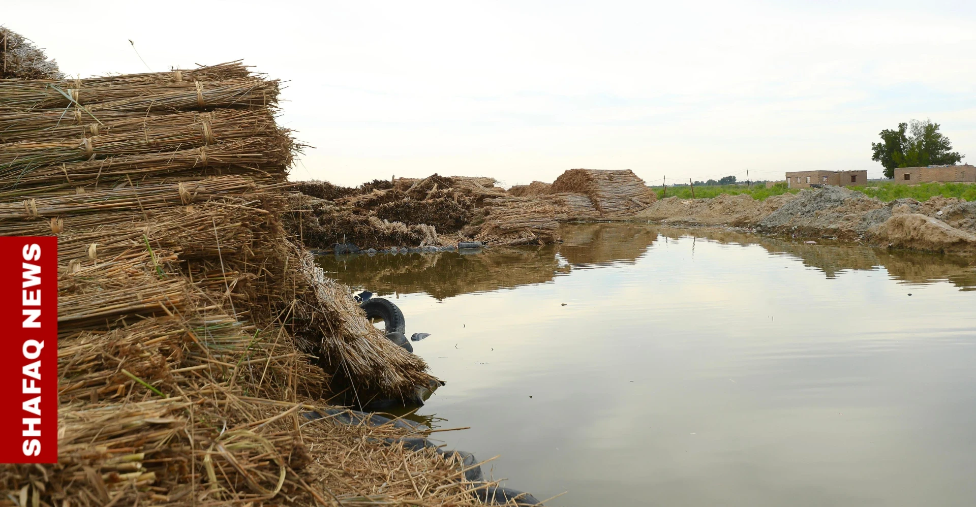From Iraq's marshes, a reed trade that refuses to dry up