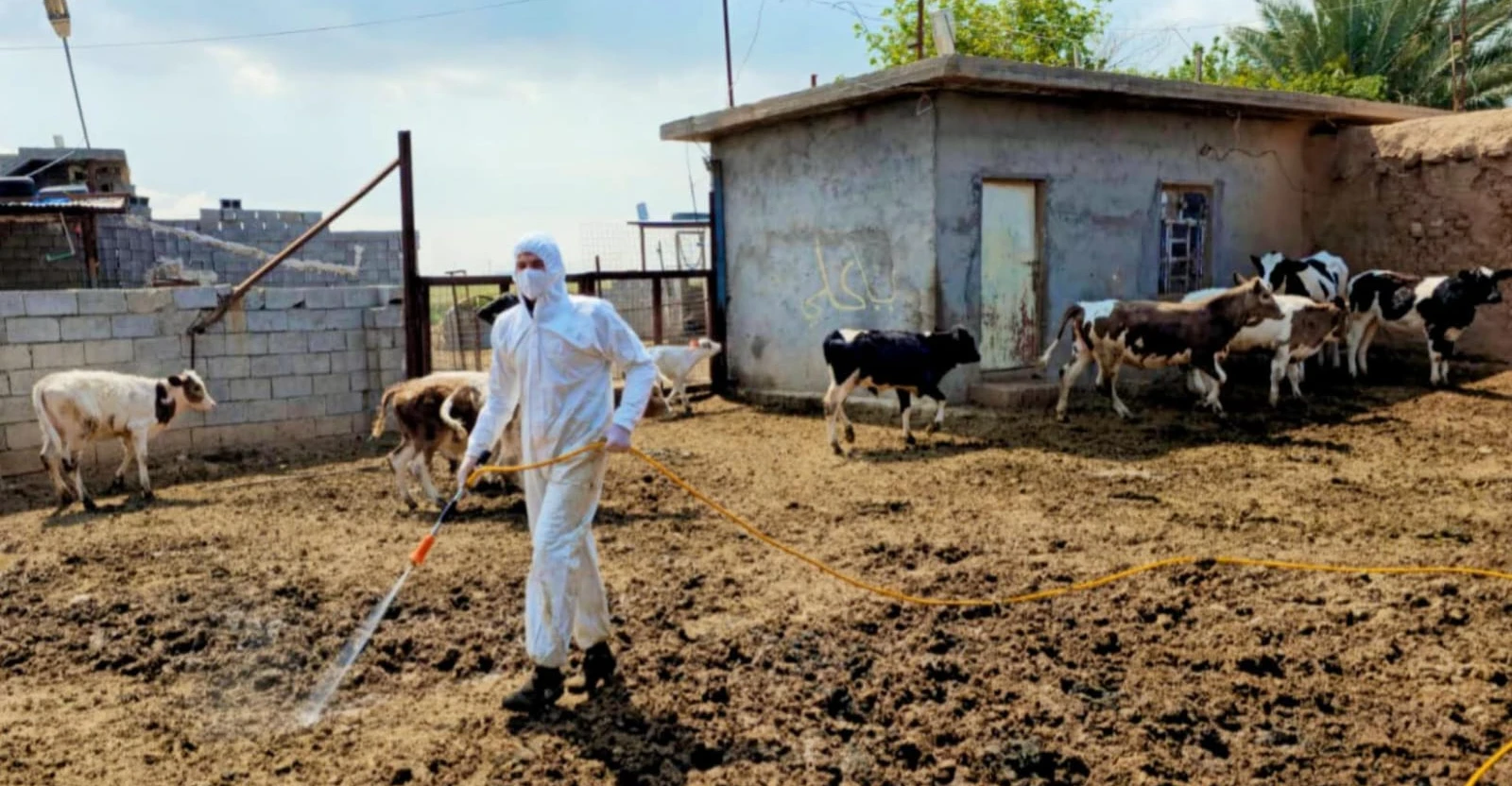 صلاح الدين تتخذ إجراءات احترازية لمنع والحد من انتشار الحمى النزفية