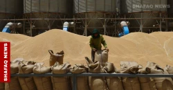قطارات العراق تستأنف نقل "ذهبها الأصفر" من صلاح الدين إلى بغداد