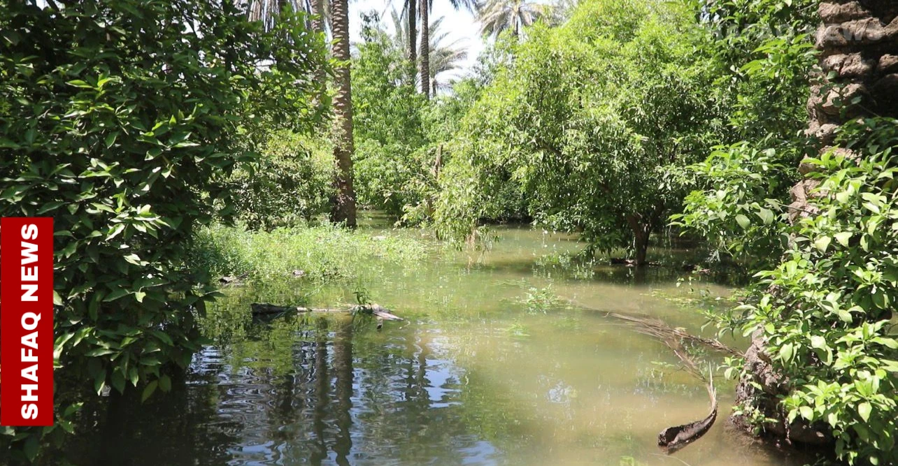 فيضان نهر ديالى يتلف 5 آلاف دونم ويهدد بساتين واسعة بالهلاك