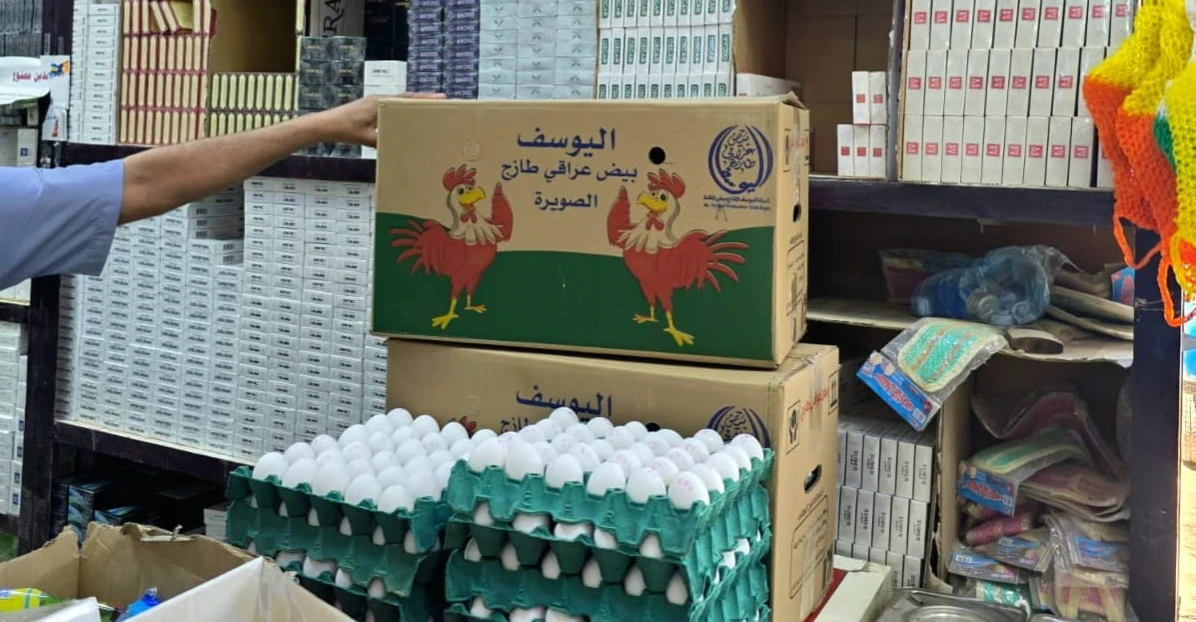 الزراعة العراقية: وفرة إنتاج البيض مؤمنة وارتفاع الأسعار 