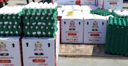 الزراعة العراقية: وفرة إنتاج البيض مؤمنة وارتفاع الأسعار "لعبة مضاربين"