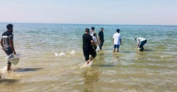 خلال شهر .. إطلاق 20 مليون سمكة في بحيرتي "الحبانية وعنه" بالأنبار