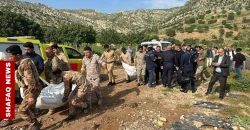 Stray dog attack kills child, injures another in Duhok