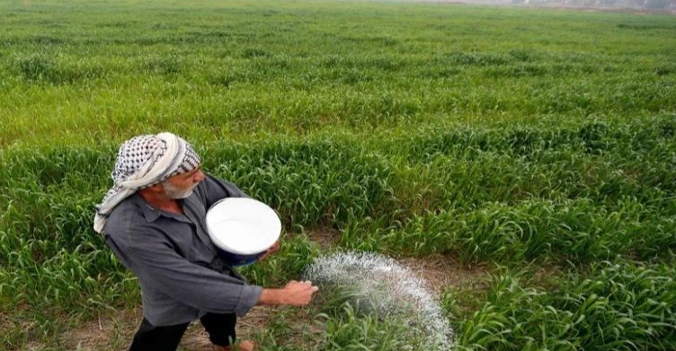 بعد أزمة شح المياه.. الموافقة على الخطة الزراعية الصيفية للديوانية بنسبة 100%