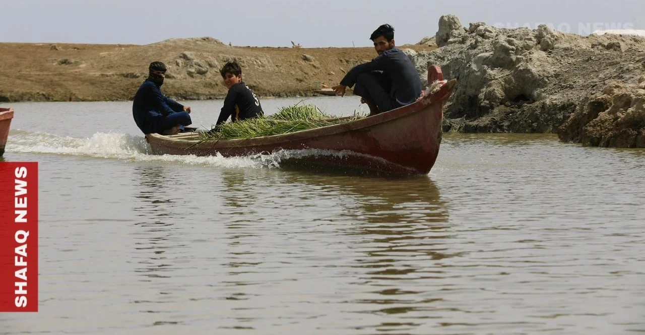 Yıllar süren kuraklığın ardından Irak'ın tarihi bataklıkları