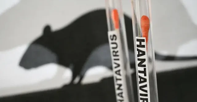 İspanya'da Hanta Virüsü Vakası Tespit Edildi