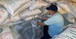 Regional conflict disrupts Thai rice trade with Iraq
