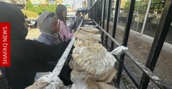 Syrians struggle with rising prices and shrinking incomes
