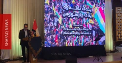 SDF’s Abdi: Kurdish solidarity helped halt northeast Syria war