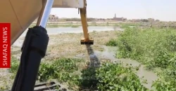ذي قار تتحرك لمواجهة "الخطر الأخضر" في نهر الفرات (فيديوهات)