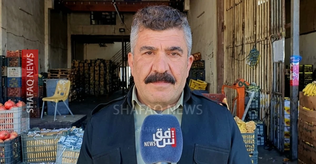 السليمانية.. الضرائب تقفز بأسعار الطماطم في الأسواق