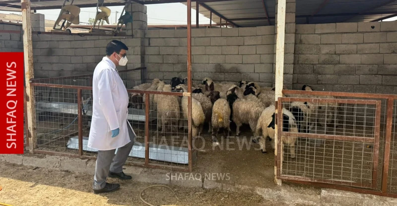 2026 CCHF cases rise to five in Iraq’s Diyala province