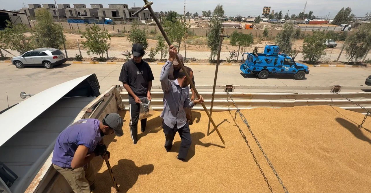 Wheat production falls by 50%+ in Iraq’s Diyala
