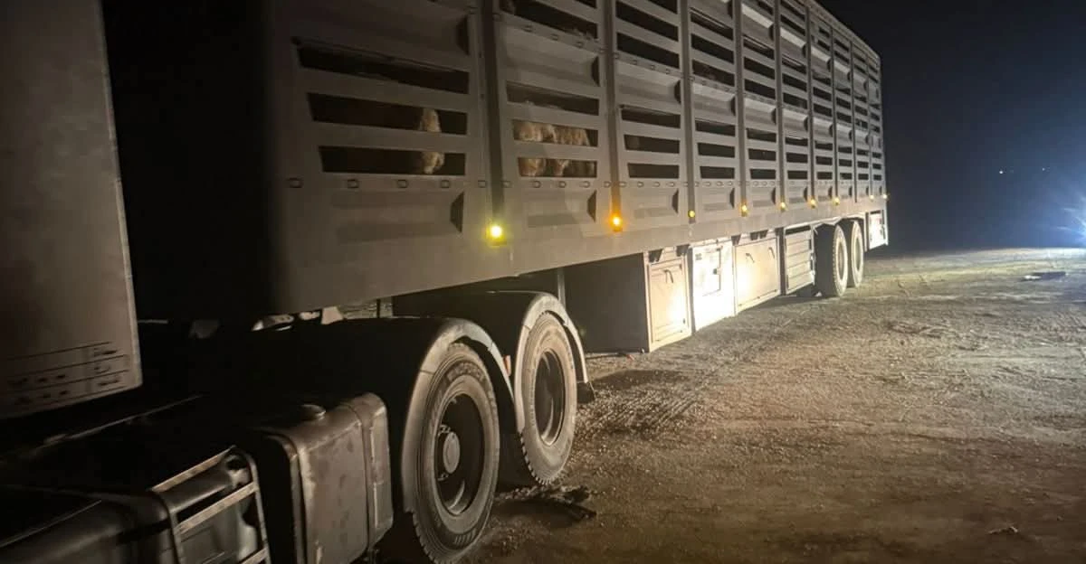 العراق يستقبل أول شحنة ترانزيت دولي (TIR) من سوريا متجهة إلى الكويت