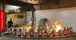 Toxic Masgouf? The threats behind Iraq’s favorite dish
