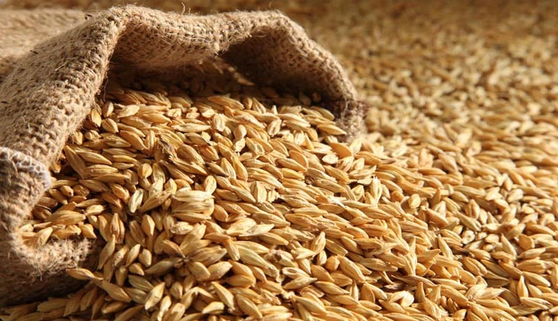 ‏ئایا نان جویە ئەرا بیماری شەکرە خاسە؟
