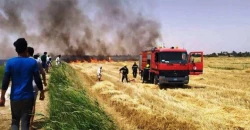 Wheat field fire destroys 5 hectares in Iraq’s Kirkuk province