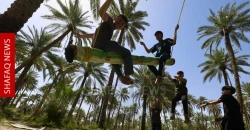 In rural Babil, children turn palm groves into playgrounds