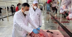 استنفار بيطري في مدينة عراقية لتأمين لحوم الأضاحي ومواجهة "الحمى النزفية"