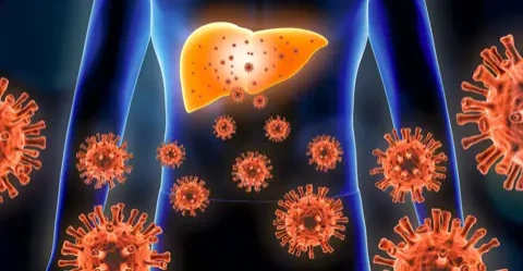 Kronik Hepatit B için yeni ilaçta umut veren sonuçlar