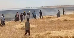 Kirkuk records third wheat field fire in one week