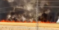 حريق يلتهم 15 دونماً من الحنطة شرقي طوزخورماتو