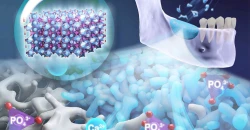 Iraqi study identifies new cancer weapon