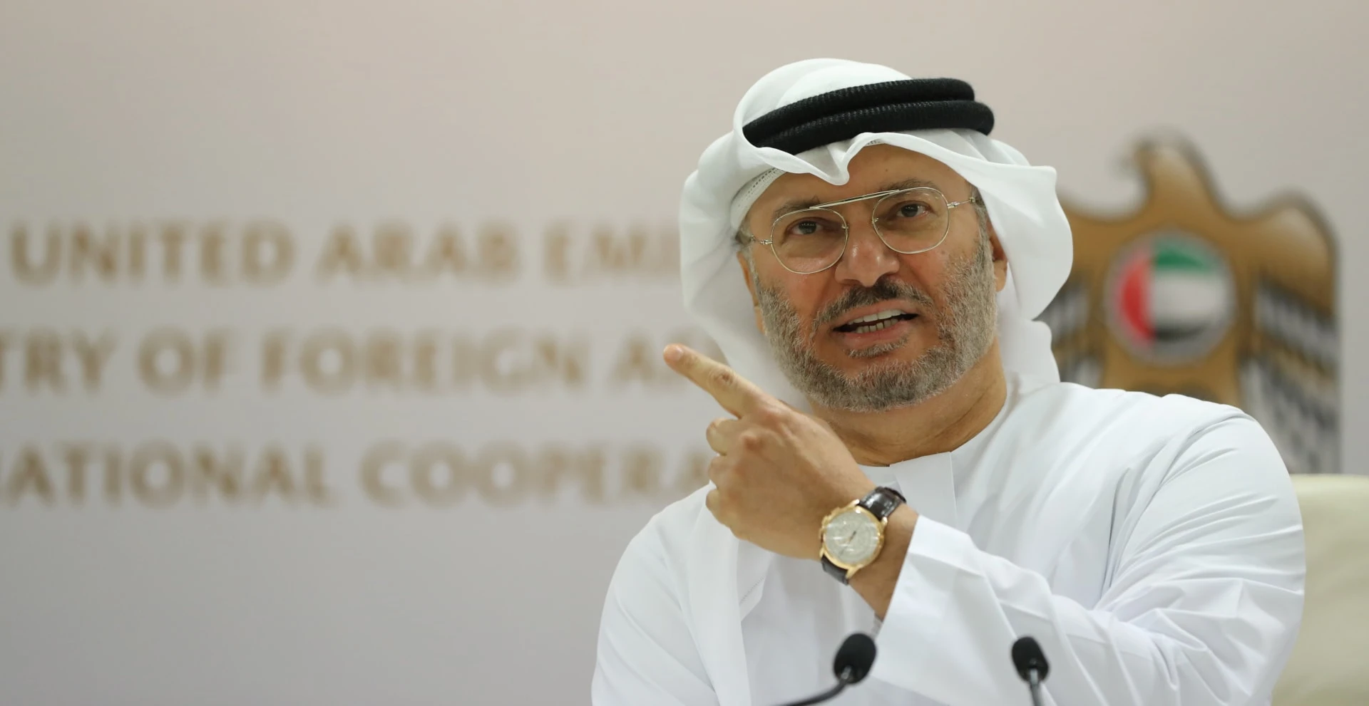 قرقاش: دول الخليج واليمن ولبنان والعراق تدفع ثمن الطموح الإيراني المتضخم