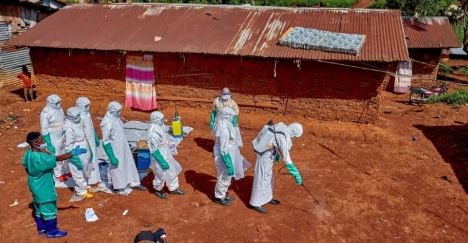 WHO Reports Nearly 500 Ebola Cases in Central Africa