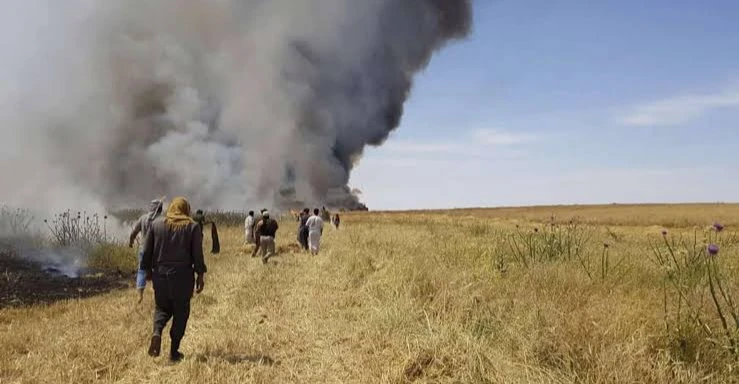 احتراق 20 دونماً من الحنطة شرقي صلاح الدين (فيديو)