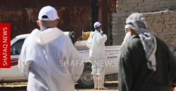 Nineveh records fourth CCHF case in recent weeks
