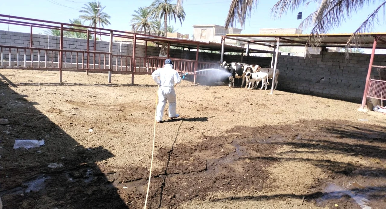 Child tests positive for 5th CCHF case in Nineveh