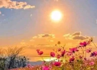 دڵ بی قەرارە