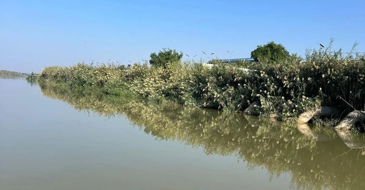 بعد سنوات الجفاف.. الحيوانات النادرة تعود إلى ديالى (صور)