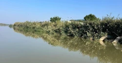 بعد سنوات الجفاف.. الحيوانات النادرة تعود إلى ديالى (صور)
