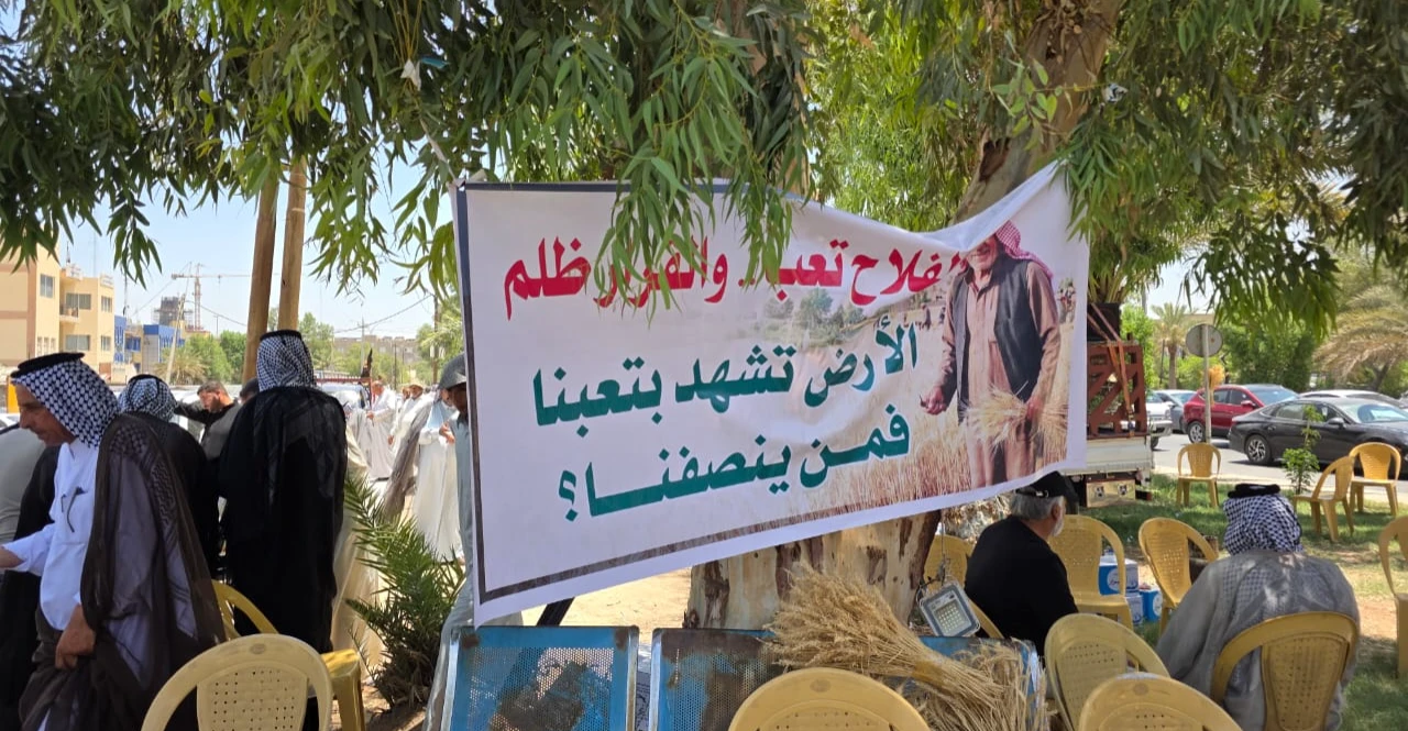 فلاحو النجف يعتصمون أمام مبنى المحافظة للمطالبة برفع سعر الشلب وصرف المستحقات المتأخرة